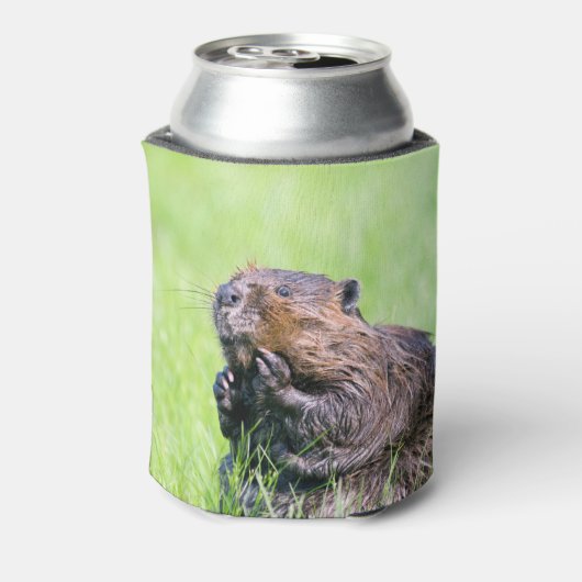 Natte bever blikjeskoeler (Blikje Achterkant)