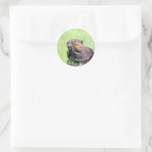 Natte bever ronde sticker (Tas)