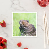 Natte bever servetten (Insitu)