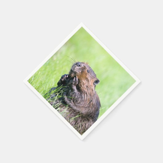 Natte bever servetten (Hoek)