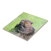 Natte bever tegeltje (Zijkant)