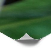 Natte blad poster (Hoek)