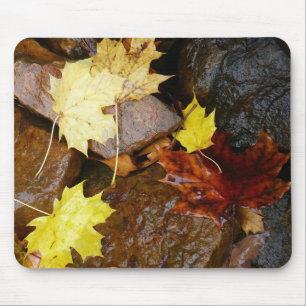 Natte bladeren en rotsen Herfst Natuurfotografie Muismat