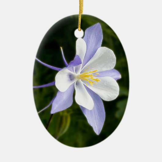 Natte Blauwe Columbine Keramisch Ornament (Voorkant)