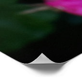 Natte bloem poster (Hoek)