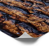 Natte boomschors poster (Hoek)