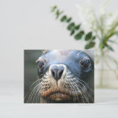 Natte Briefkaart (Staand voorkant)