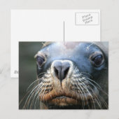 Natte Briefkaart (Voorkant / Achterkant)