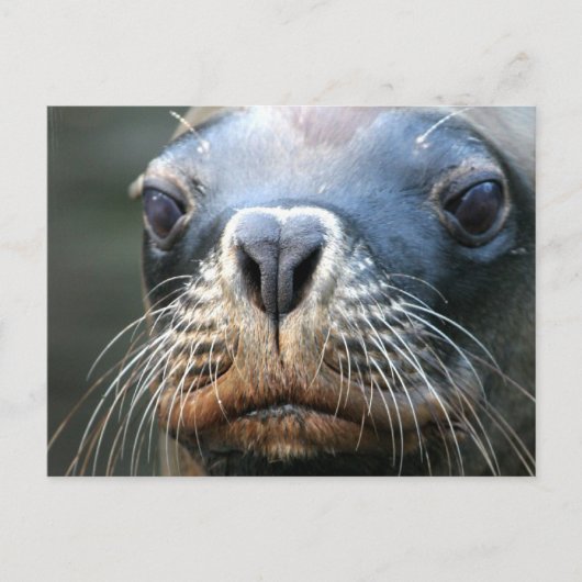 Natte Briefkaart (Voorkant)