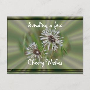 Natte Dandelion Briefkaart- cheer of andere gelege Briefkaart