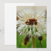 Natte Dandelion Feestdagenkaart (Voorkant / Achterkant)