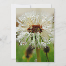 Natte Dandelion Feestdagenkaart
