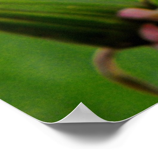 Natte Dandelion Poster (Hoek)