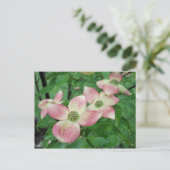 Natte Dogwood Blossom Briefkaart (Staand voorkant)