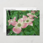 Natte Dogwood Blossom Briefkaart (Voorkant / Achterkant)