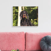 Natte Gordon Setter Ingepakt Canvas Afdruk (Insitu (Woonkamer))