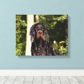 Natte Gordon Setter Ingepakt Canvas Afdruk (Insitu (Houten vloer))