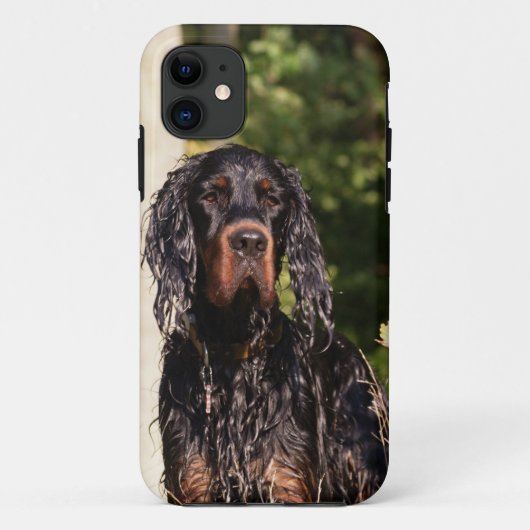 Natte Gordon Setter iPhone 5 Hoesje (Achterkant)