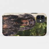 Natte Gordon Setter iPhone 5 Hoesje (Achterkant (horizontaal))