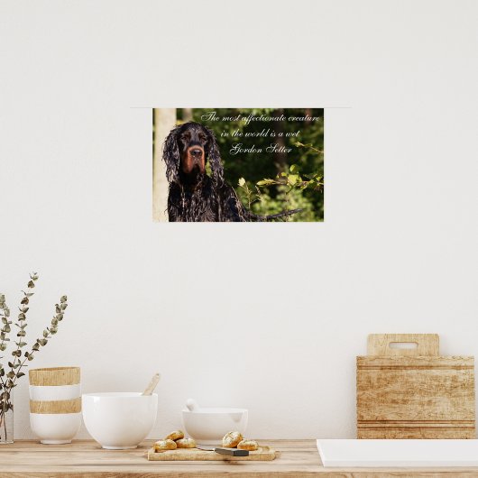 Natte Gordon Setter Poster (Keuken)