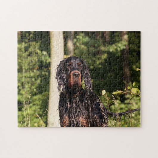 Natte Gordon Setter Puzzle Legpuzzel (Horizontaal)