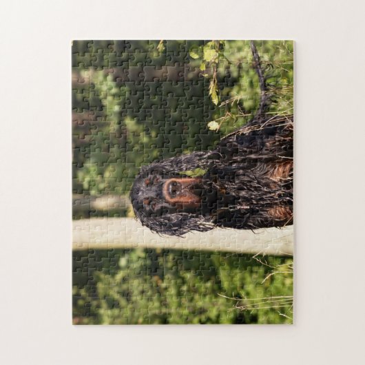 Natte Gordon Setter Puzzle Legpuzzel (Verticaal)