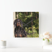 Natte Gordon Setter Square Wall klok (Huis)