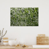 Natte gras in het Poster van de Morning Rain (Keuken)