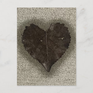 Natte hartvormige blad op trottoir Foto Briefkaart