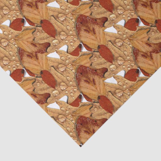 Natte herfstbladeren tissuepapier (Detail)