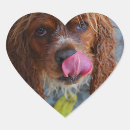 Natte hond met een Banaan Hart Sticker