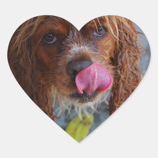 Natte hond met een Banaan Hart Sticker (Voorkant)