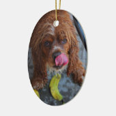 Natte hond met een Banaan Keramisch Ornament (Links)