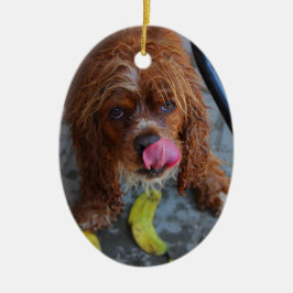 Natte hond met een Banaan Keramisch Ornament