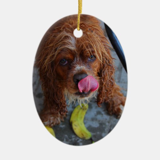Natte hond met een Banaan Keramisch Ornament (Voorkant)