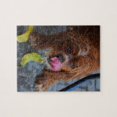 Natte hond met een Banaan Legpuzzel (Horizontaal)