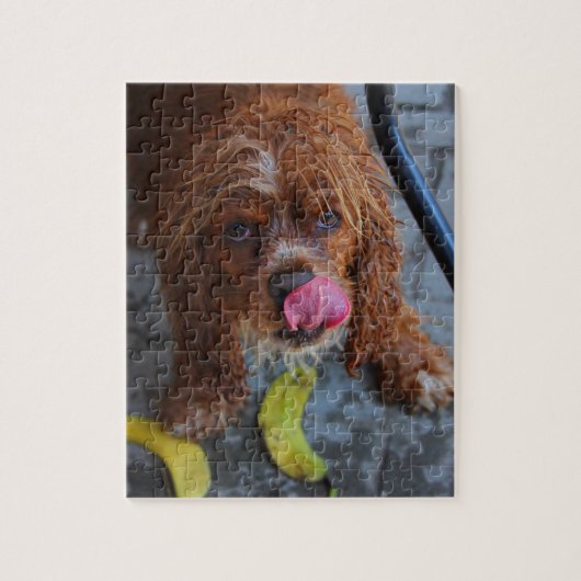 Natte hond met een Banaan Legpuzzel (Verticaal)