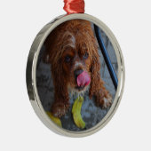 Natte hond met een Banaan Metalen Ornament (Rechts)