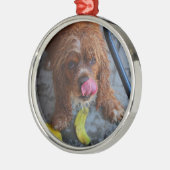 Natte hond met een Banaan Metalen Ornament (Links)