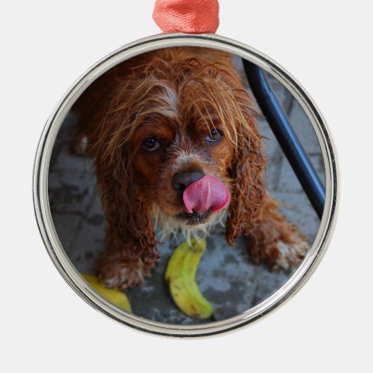 Natte hond met een Banaan Metalen Ornament (Voorkant)