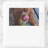 Natte hond met een Banaan Rechthoekige Sticker (Tas)