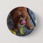 Natte hond met een Banaan Ronde Button 5,7 Cm (Voorkant)
