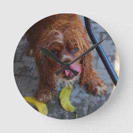 Natte Hond met een Banaan Ronde Klok
