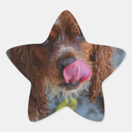 Natte hond met een Banaan Ster Sticker