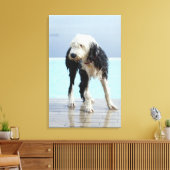 Natte hond op een zwembad canvas afdruk (Insitu (Woonkamer))