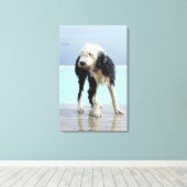Natte hond op een zwembad canvas afdruk (Insitu (Houten vloer))