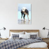 Natte hond op een zwembad canvas afdruk (Insitu (Slaapkamer))