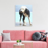 Natte hond op een zwembad canvas afdruk (Insitu (Woonkamer))