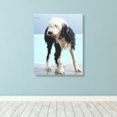 Natte hond op een zwembad canvas afdruk (Insitu (Houten vloer))