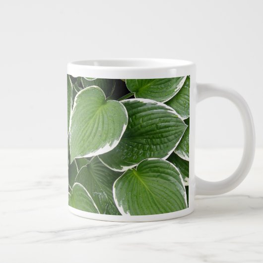 'Natte hostas' Grote Koffiekop (Rechts)
